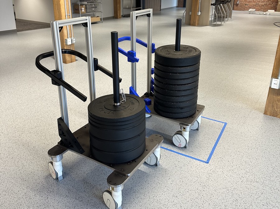 Mass simulation cart